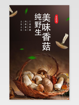 红色黑色香菇蘑菇淘宝天猫电商详情页土特产香菇美食蔬菜